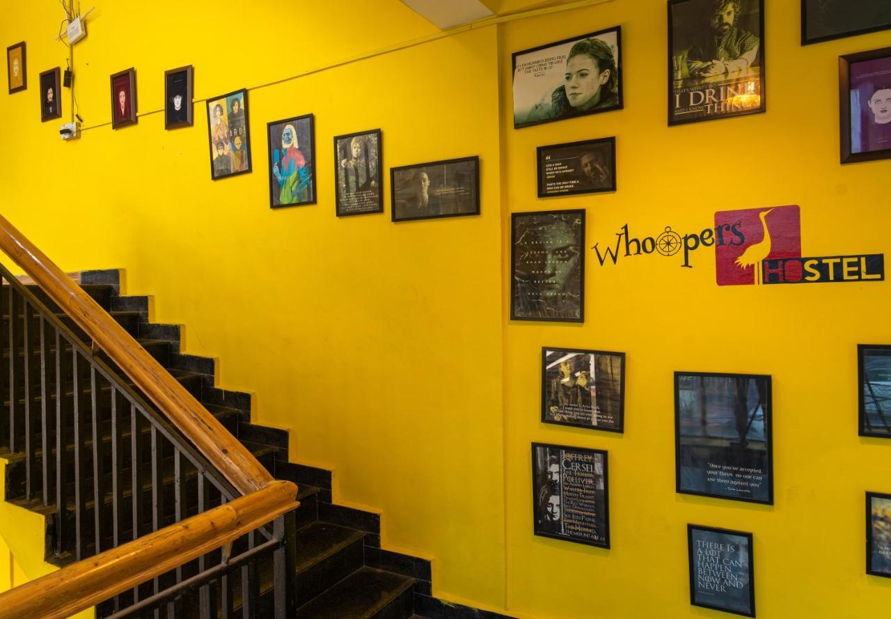 Whoopers Hostel קאסול מראה חיצוני תמונה